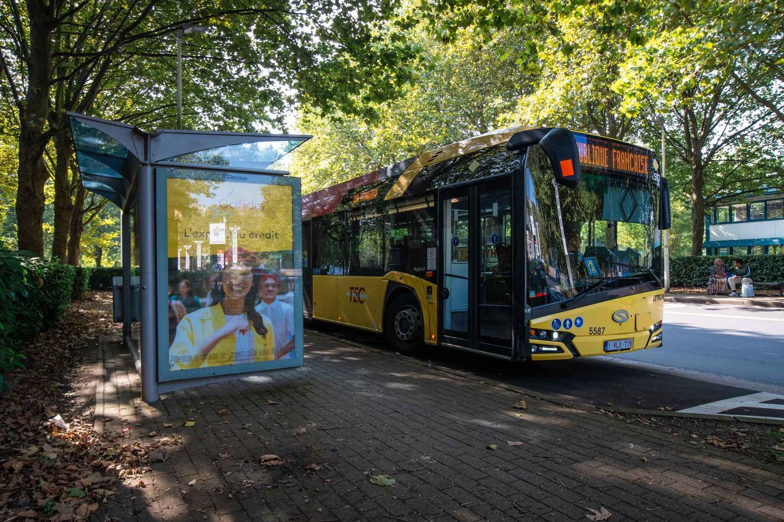 Bus