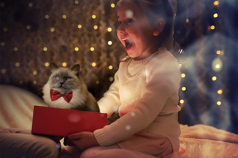 cadeau