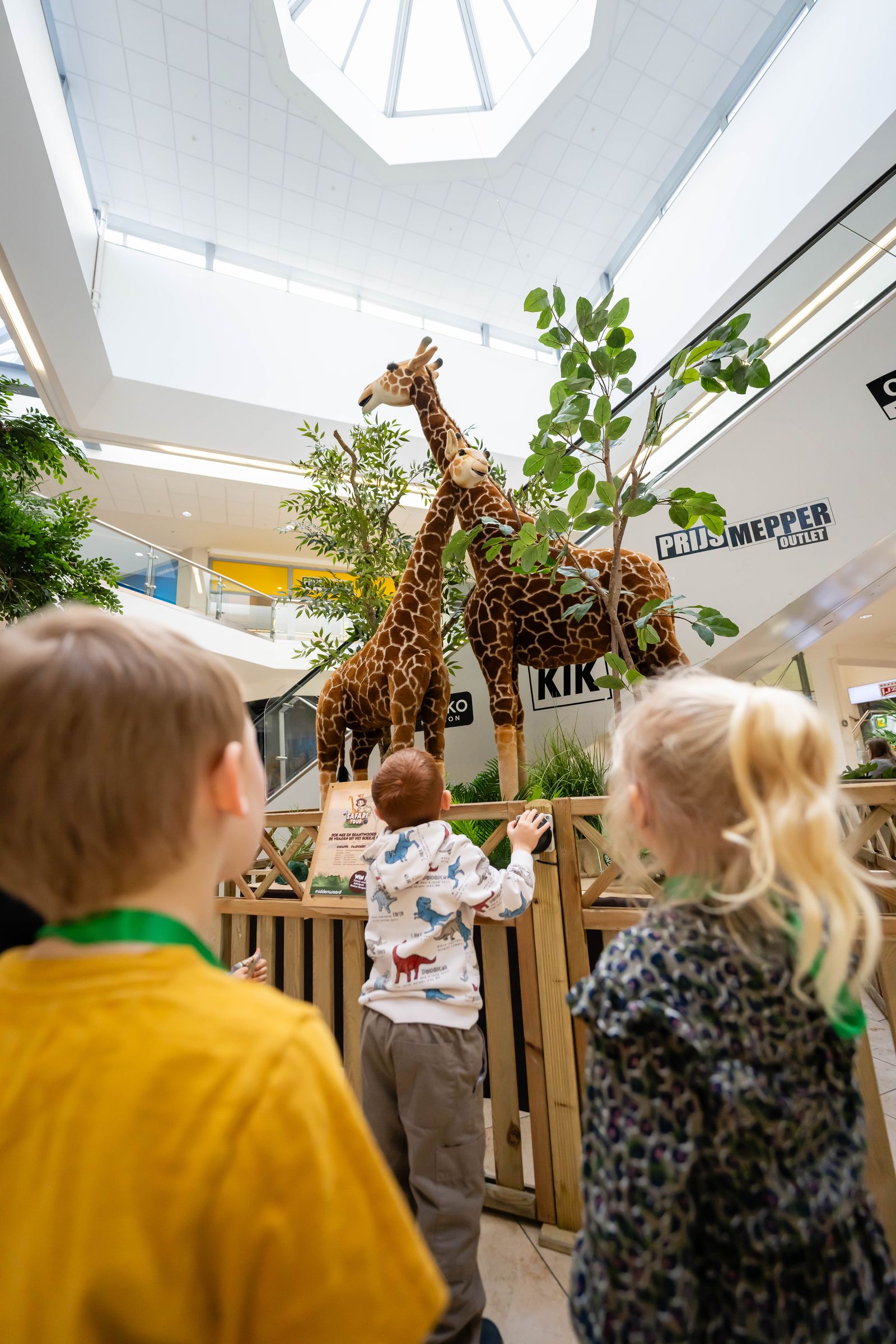 safari tour middenwaard