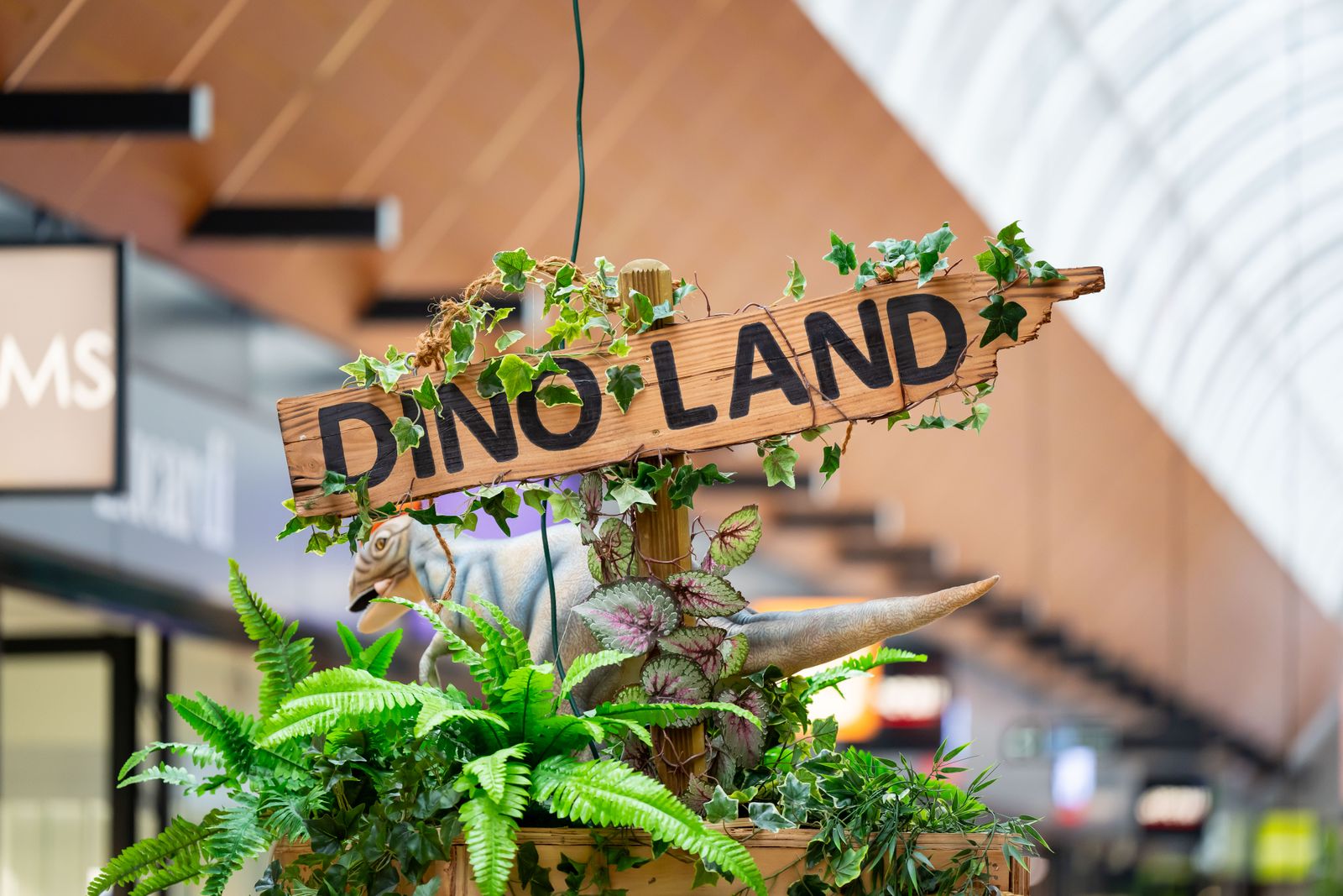 dino tour vier