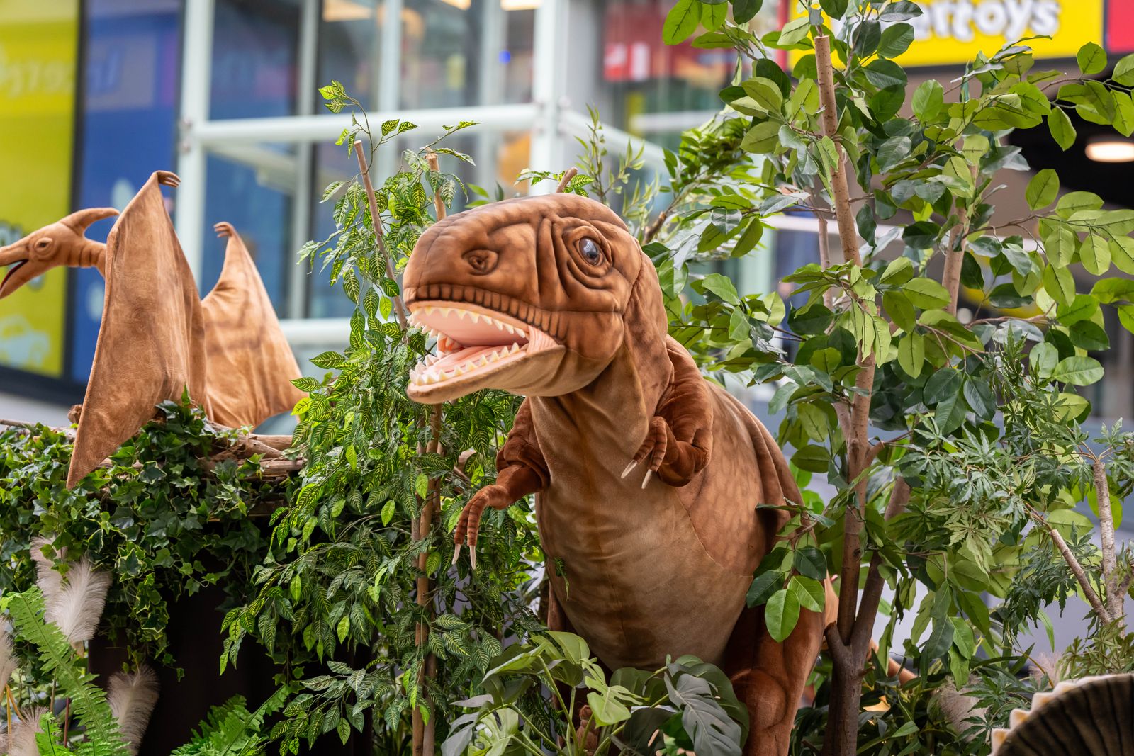 dino tour vier