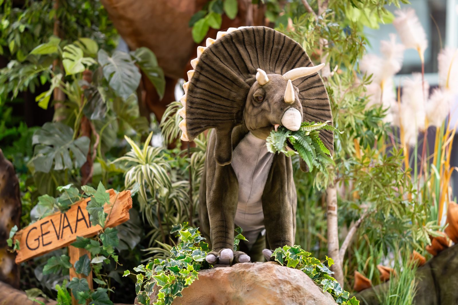 dino tour vier