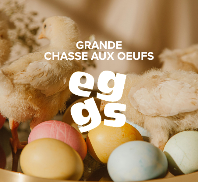 chasse aux oeufs eggs