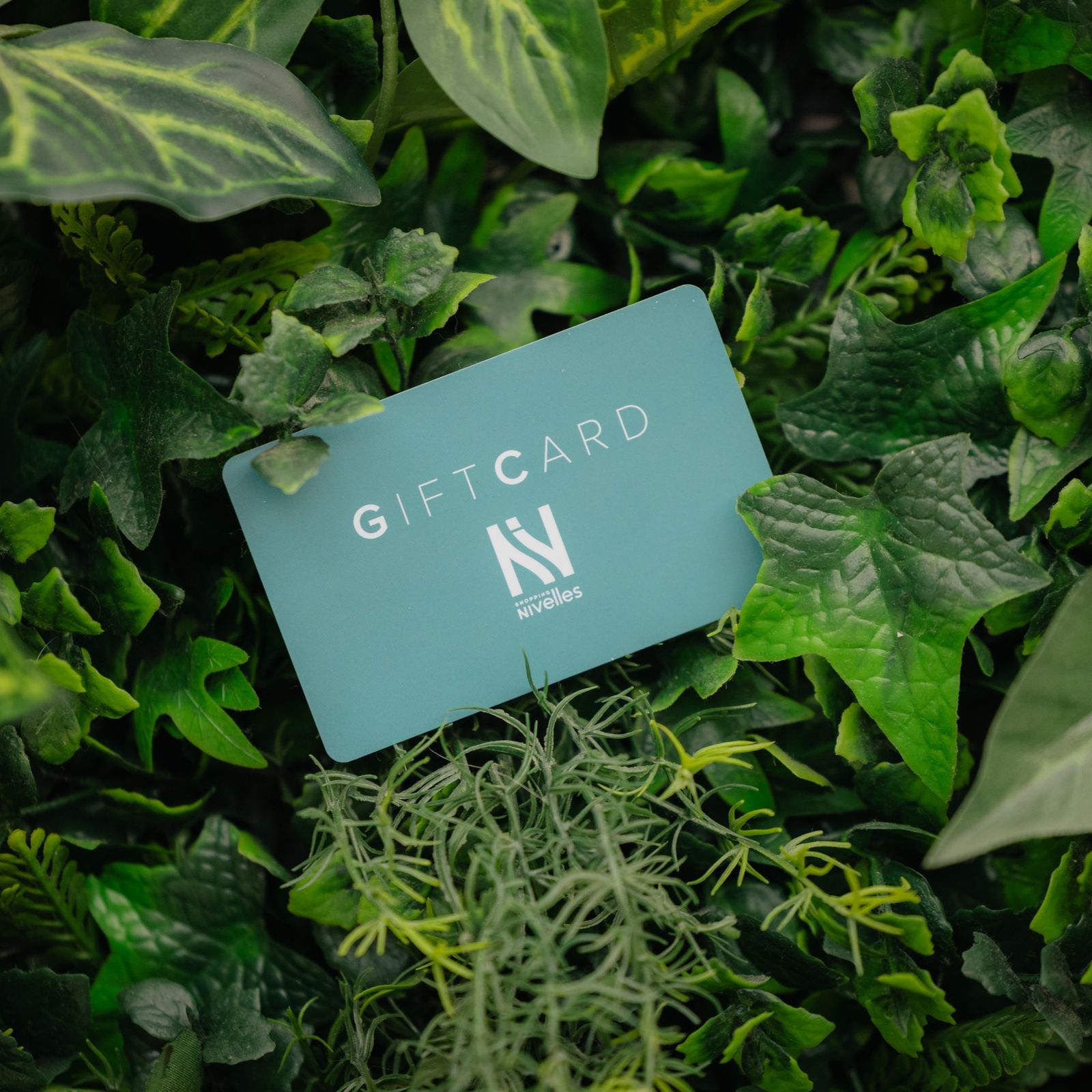 carte cadeau 