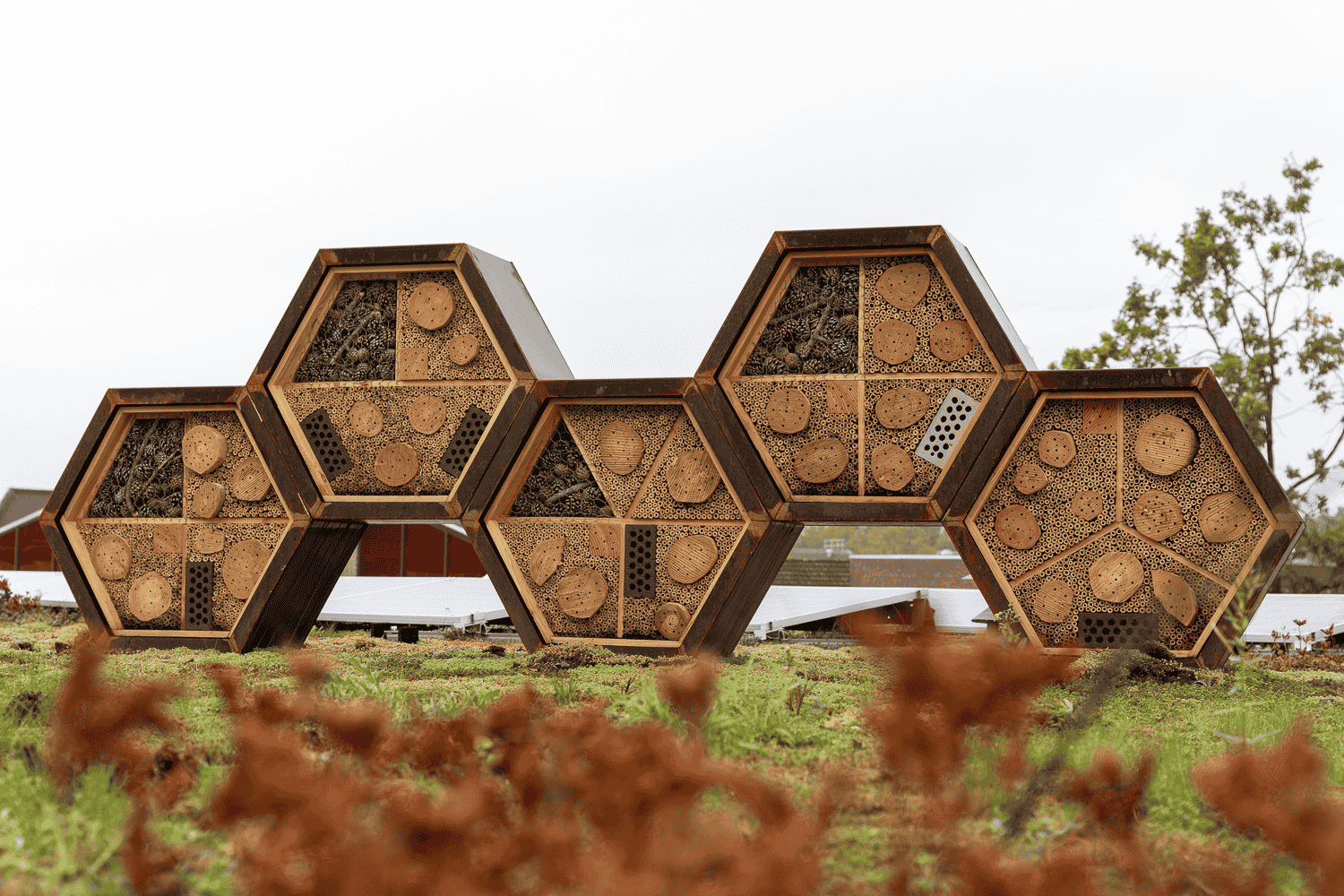 Insectenhotel