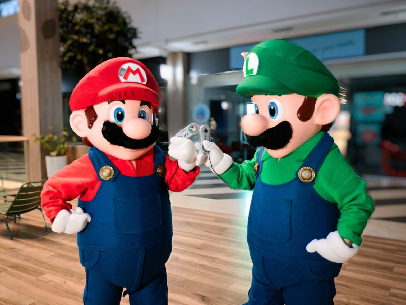 event retro-gaming - Mario & Luigi