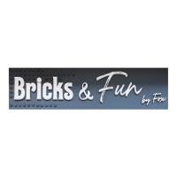 logo bricks and fun